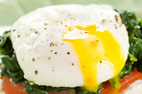 Poached Eggs